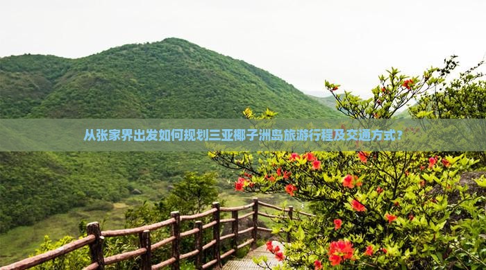 从张家界出发如何规划三亚椰子洲岛旅游行程及交通方式？