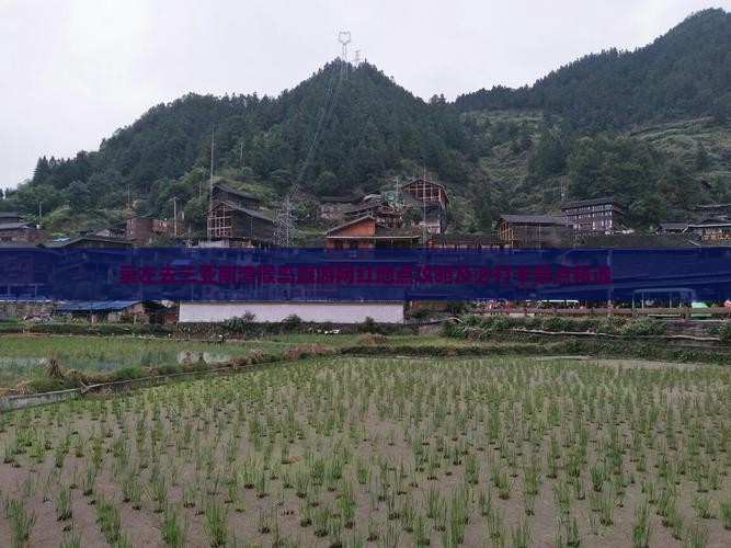 崇左去三亚南湾猴岛旅游网红地点攻略及必打卡景点精选
