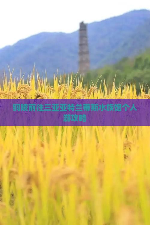 铜陵前往三亚亚特兰蒂斯水族馆个人游攻略