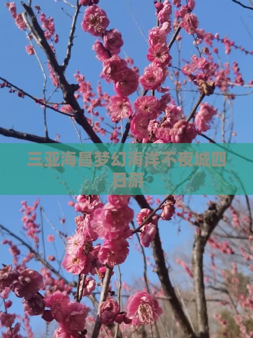 三亚海昌梦幻海洋不夜城四日游