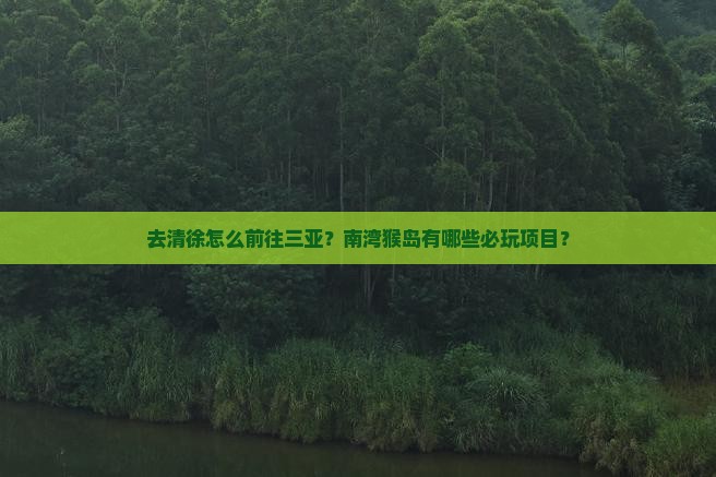去清徐怎么前往三亚？南湾猴岛有哪些必玩项目？