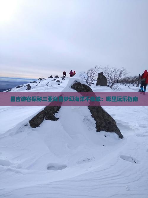 昌吉游客探秘三亚海昌梦幻海洋不夜城：哪里玩乐指南