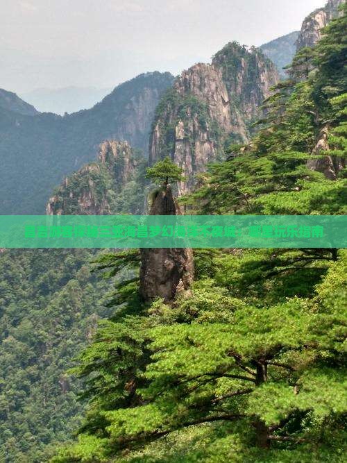 昌吉游客探秘三亚海昌梦幻海洋不夜城：哪里玩乐指南