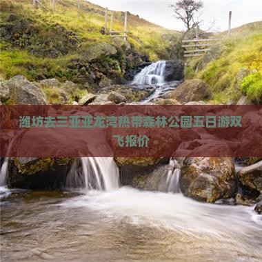 潍坊去三亚亚龙湾热带森林公园五日游双飞报价