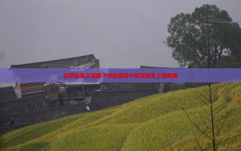 拉萨出发三亚椰子洲岛旅游小吃攻略及上岛指南
