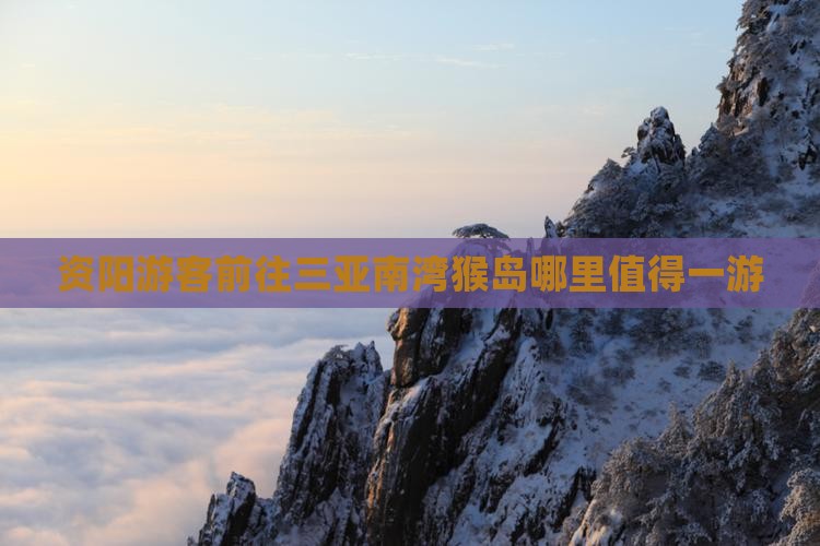 资阳游客前往三亚南湾猴岛哪里值得一游