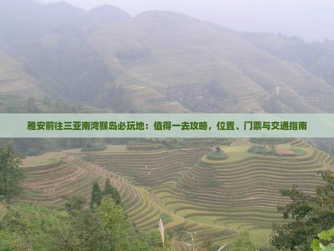 雅安前往三亚南湾猴岛必玩地：值得一去攻略，位置、门票与交通指南