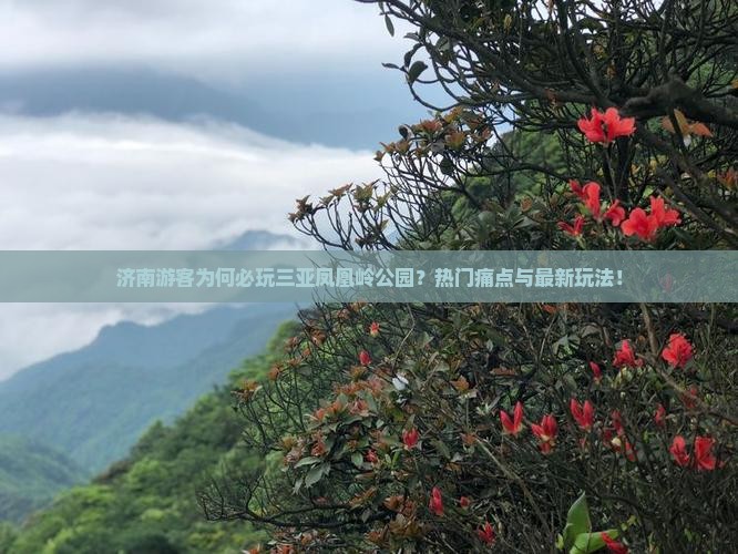 济南游客为何必玩三亚凤凰岭公园？热门痛点与最新玩法！