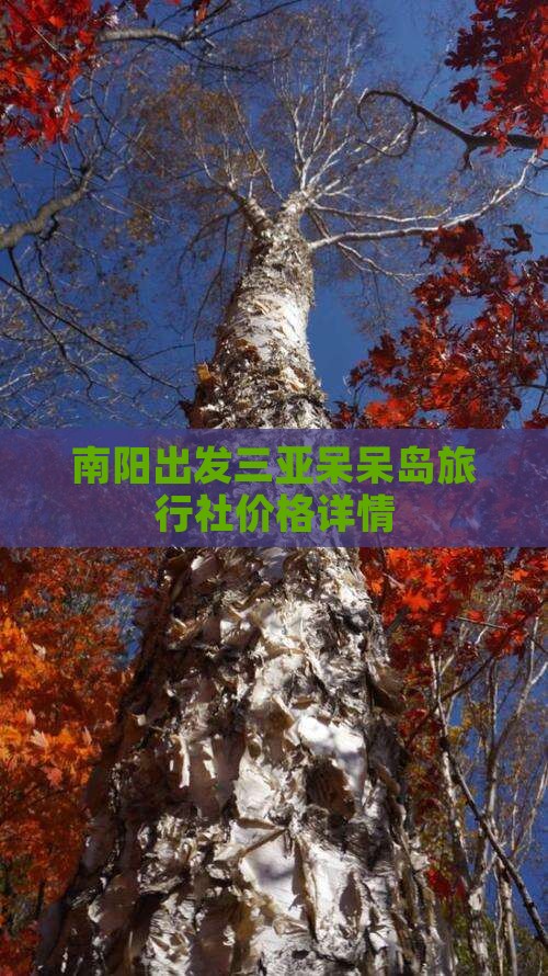 南阳出发三亚呆呆岛旅行社价格详情