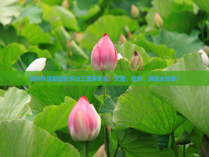 如何从昌都出发前往三亚呆呆岛：交通、住宿、游玩全攻略？