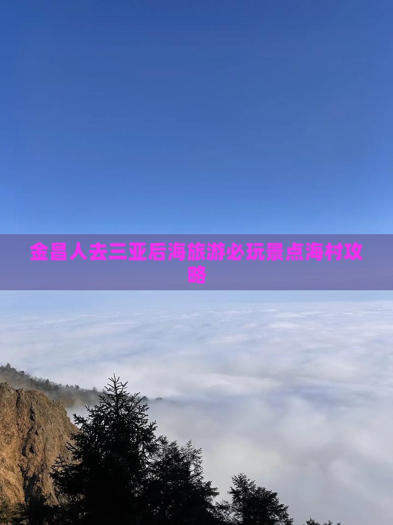 金昌人去三亚后海旅游必玩景点海村攻略