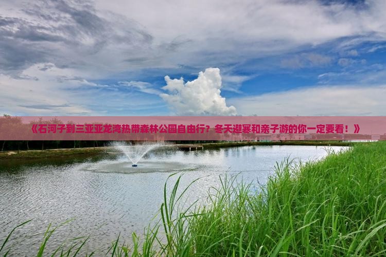 《石河子到三亚亚龙湾热带森林公园自由行？冬天避寒和亲子游的你一定要看！》