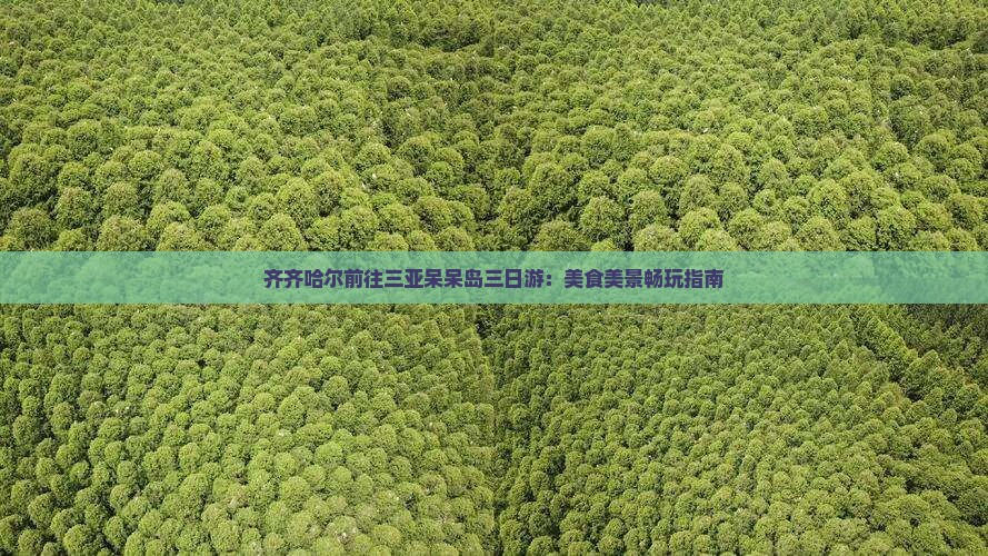 齐齐哈尔前往三亚呆呆岛三日游：美食美景畅玩指南