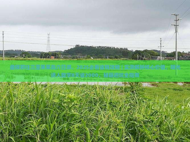 盘锦前往三亚呆呆岛六日游 盘锦前往三亚呆呆岛六日游