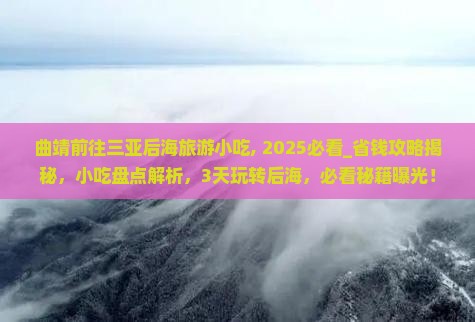曲靖前往三亚后海旅游小吃
