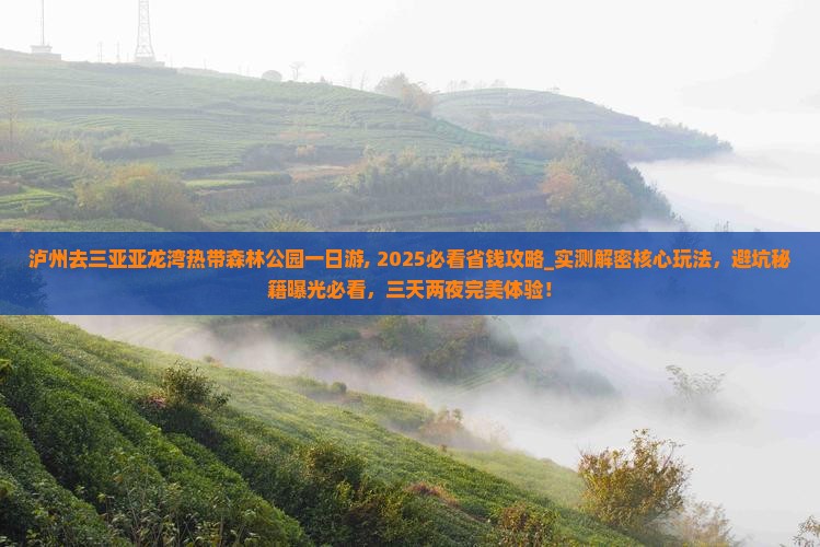 泸州去三亚亚龙湾热带森林公园一日游 泸州去三亚亚龙湾热带森林公园一日游