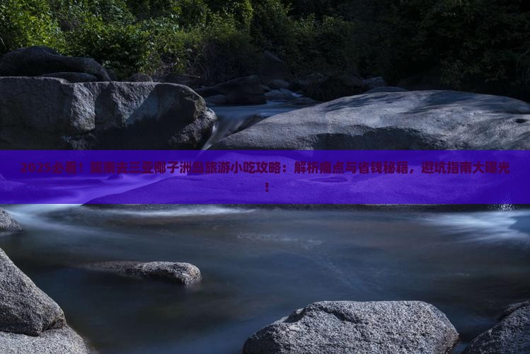 陇南去三亚椰子洲岛旅游小吃