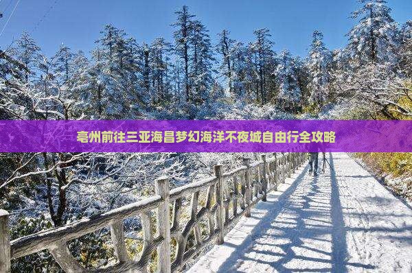 亳州前往三亚海昌梦幻海洋不夜城自由行