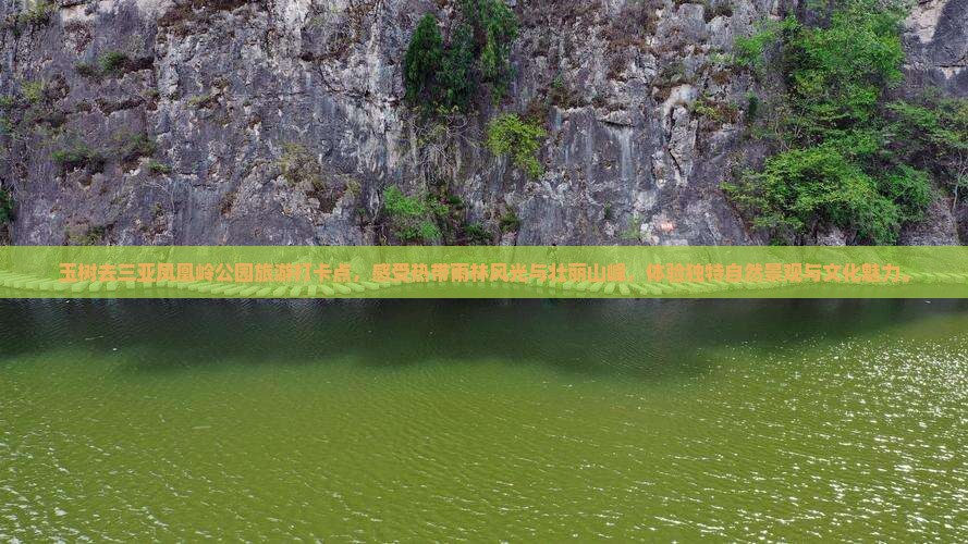 玉树去三亚凤凰岭公园旅游打卡点