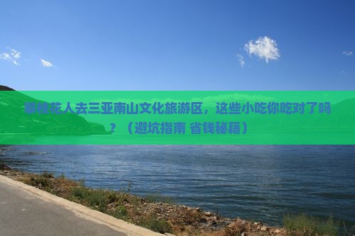 攀枝花去三亚南山文化旅游区旅游小吃