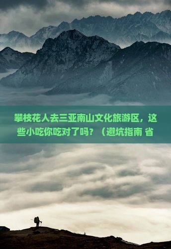 攀枝花去三亚南山文化旅游区旅游小吃