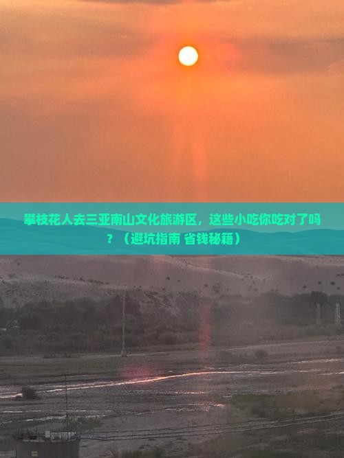 攀枝花去三亚南山文化旅游区旅游小吃
