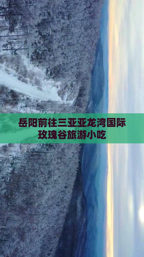 岳阳前往三亚亚龙湾国际玫瑰谷旅游小吃