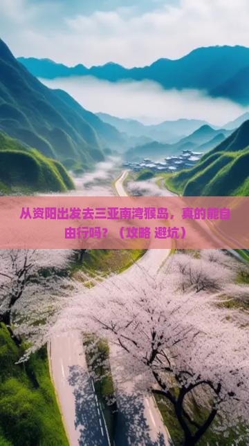资阳去三亚南湾猴岛自由行