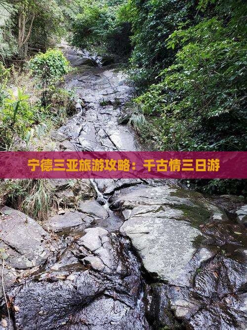 宁德前往三亚千古情三日游