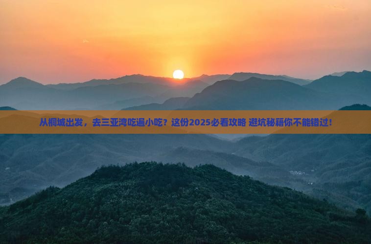 桐城出发三亚三亚湾旅游小吃