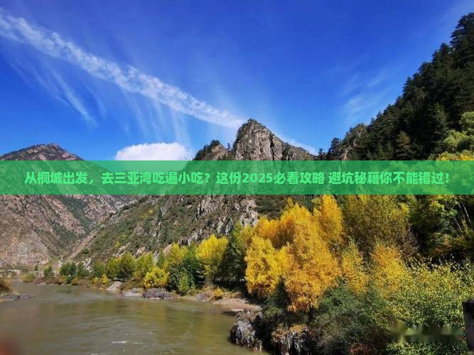桐城出发三亚三亚湾旅游小吃