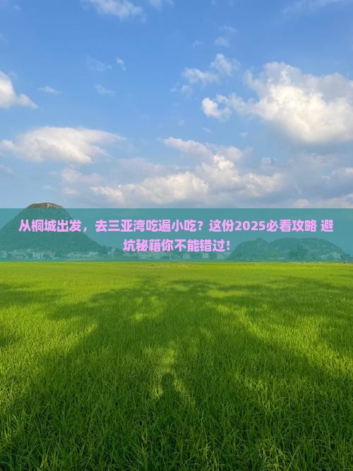 桐城出发三亚三亚湾旅游小吃