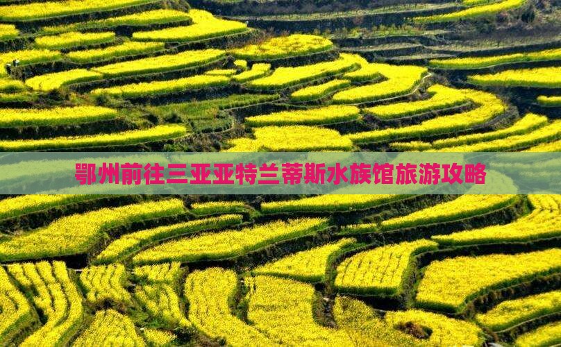 鄂州前往三亚亚特兰蒂斯水族馆大型旅游团