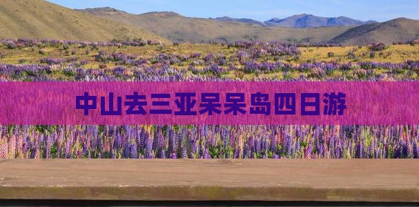 中山去三亚呆呆岛四日游