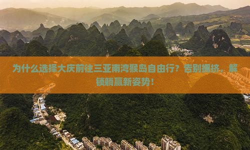 大庆前往三亚南湾猴岛自由行