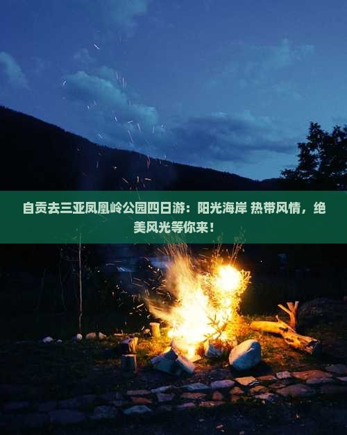 自贡去三亚凤凰岭公园四日游