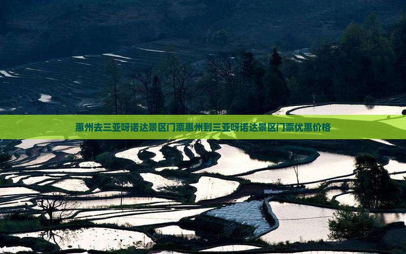 惠州去三亚呀诺达景区门票