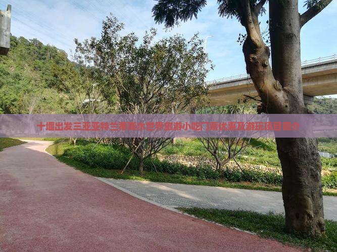 十堰出发三亚亚特兰蒂斯水世界旅游小吃