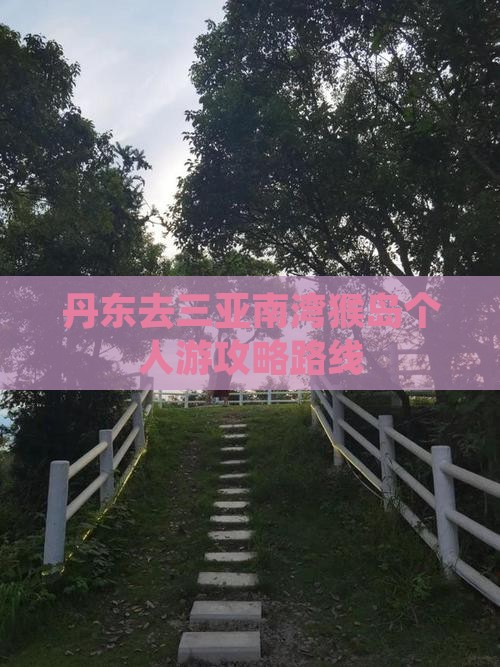 丹东去三亚南湾猴岛个人游