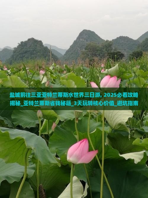 盐城前往三亚亚特兰蒂斯水世界三日游