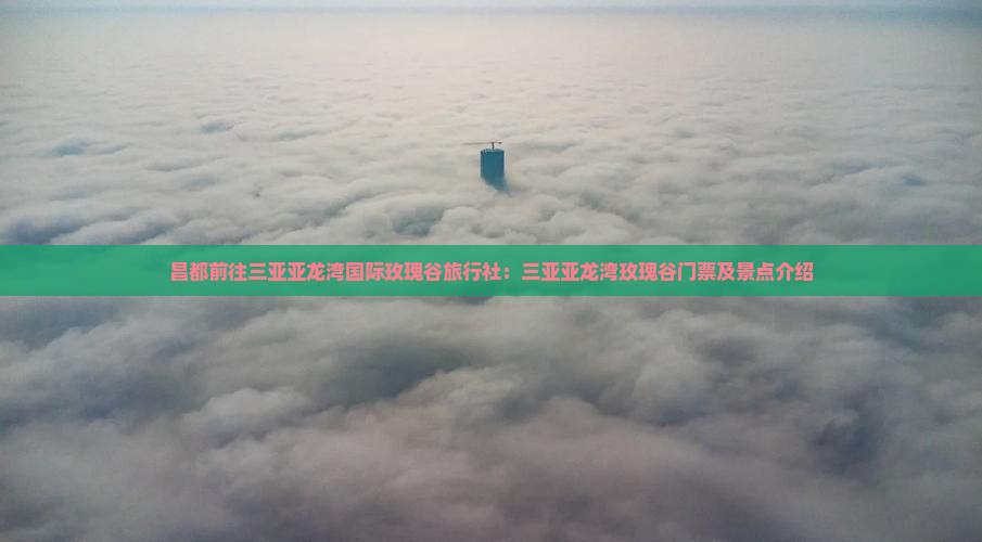昌都前往三亚亚龙湾国际玫瑰谷旅行社