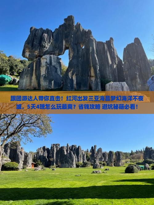 红河出发三亚海昌梦幻海洋不夜城大型旅游团