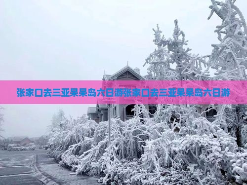 张家口去三亚呆呆岛六日游