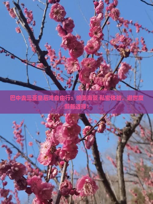 巴中去三亚皇后湾自由行