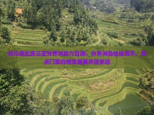 驻马店出发三亚分界洲岛六日游
