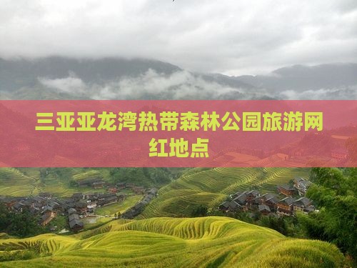 玉树前往三亚亚龙湾热带森林公园旅游网红地点
