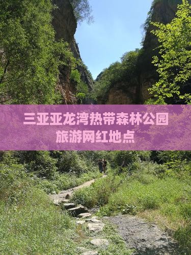玉树前往三亚亚龙湾热带森林公园旅游网红地点