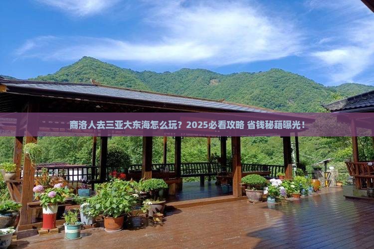 商洛去三亚大东海一日游