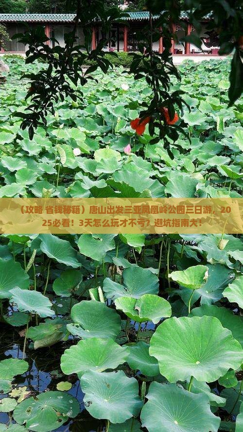 唐山出发三亚凤凰岭公园三日游