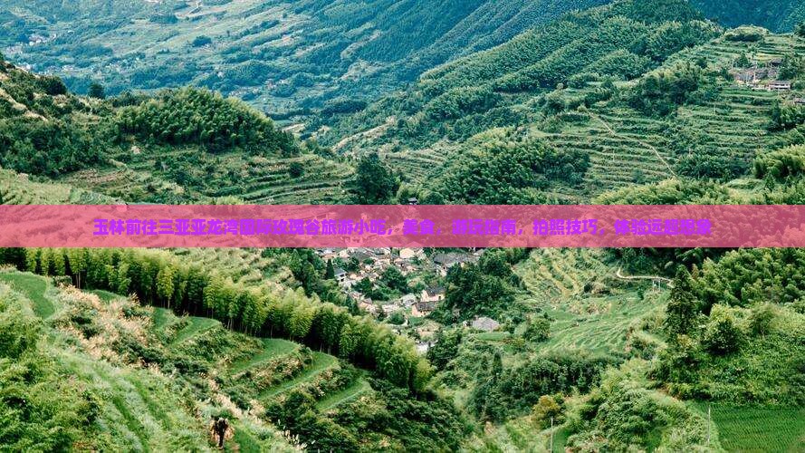 玉林前往三亚亚龙湾国际玫瑰谷旅游小吃
